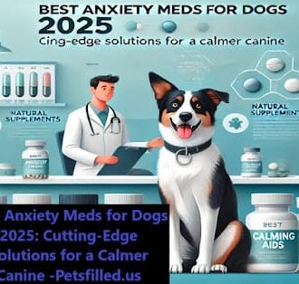 Best Anxiety Meds for Dogs 2025: Cutting-Edge Solutions for a Calmer Canine 6 Best Anxiety Meds for Dogs 2025: Cutting-Edge Solutions for a Calmer Canine