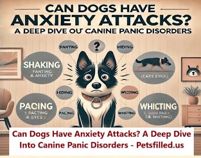 Can Dogs Have Anxiety Attacks? A Deep Dive Into Canine Panic Disorders 1 Can Dogs Have Anxiety Attacks
