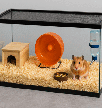 7 Best Hamster Cages: A Comprehensive Guide to Choosing the Right Home 5 7 Best Hamster Cages: A Comprehensive Guide to Choosing the Right Home