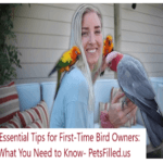 10 Essential Tips for First-Time Bird Owners: What You Need to Know (2025 Edition)