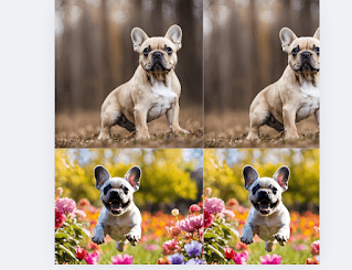 French Bulldog: 10 Facts Showing What's So Exciting About This Adorable Breed 5 French Bulldog