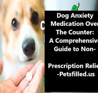 Dog Anxiety Medication Over The Counter: 4 Comprehensive Guides 3 canigivemydoganxietymedication mainimage1 800x400 1b6fb5c7 7bd8 436f 8641 658a015baa63