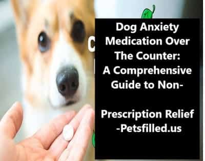 Dog Anxiety Medication Over The Counter: A Comprehensive Guide to Non-Prescription Relief