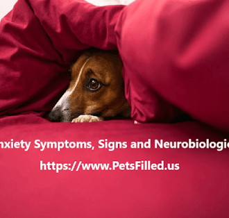 Dog Anxiety Attack: Recognize Neurobiological, Treating, and Preventing Canine Panic Episodes 4 panic