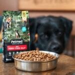 10 Convincing Reasons Petmed Dog Food Is Trusted by Vets & Smart Pet Owners Worldwide