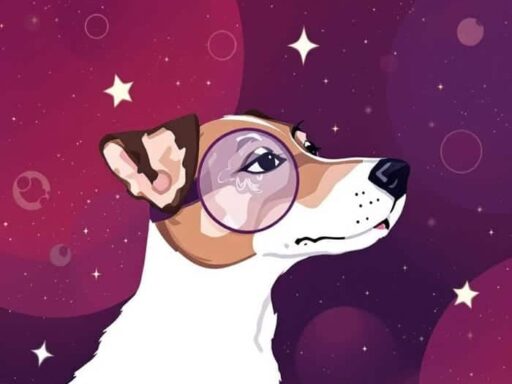 145 Space-Inspired Names for Dogs: Your Ultimate Stellar Guide 6 145 Space-Inspired Names for Dogs: Your Ultimate Stellar Guide