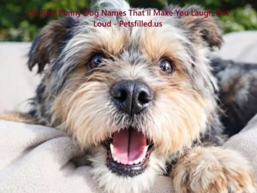 150 Best Punny Dog Names That’ll Make You Laugh Out Loud 10 150 Best Punny Dog Names That’ll Make You Laugh Out Loud
