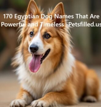 170 Egyptian Dog Names That Are Powerful and Timeless 7 170 Egyptian Dog Names That Are Powerful and Timeless