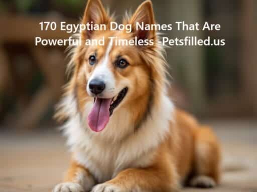 170 Egyptian Dog Names That Are Powerful and Timeless 1 170 Egyptian Dog Names That Are Powerful and Timeless