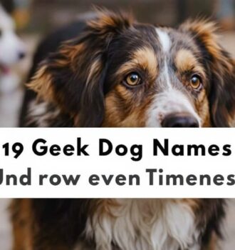 190 Greek Dog Names That Are Powerful and Timeless 6 190 Greek Dog Names That Are Powerful and Timeless