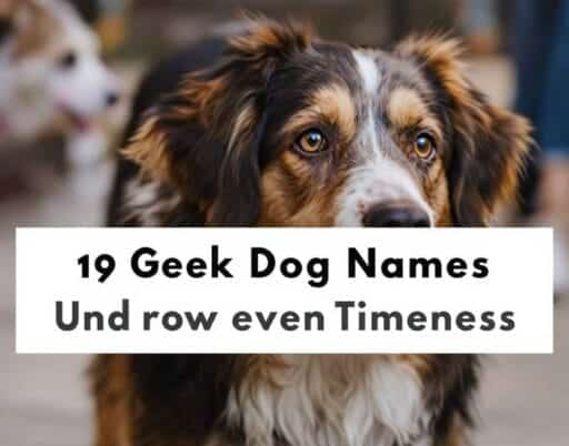 190 Greek Dog Names That Are Powerful and Timeless 1 190 Greek Dog Names That Are Powerful and Timeless