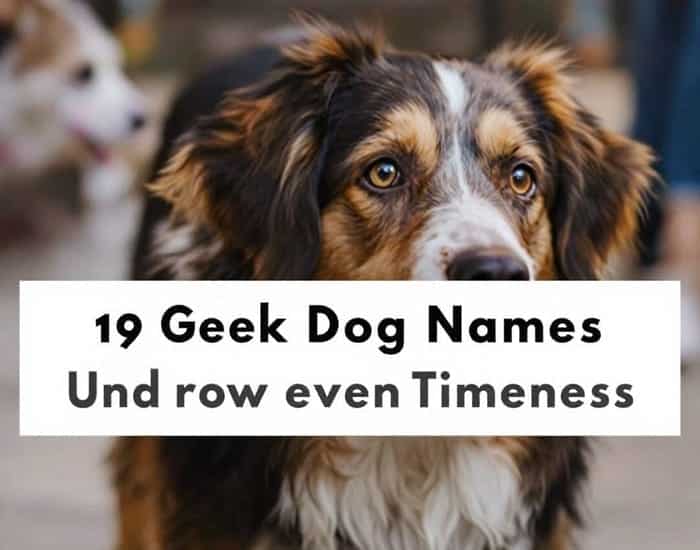 190 Greek Dog Names That Are Powerful and Timeless 2 190 Greek Dog Names That Are Powerful and Timeless