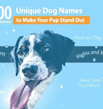 300 Unique Dog Names to Make Your Pup Stand Out 6 300 Unique Dog Names to Make Your Pup Stand Out