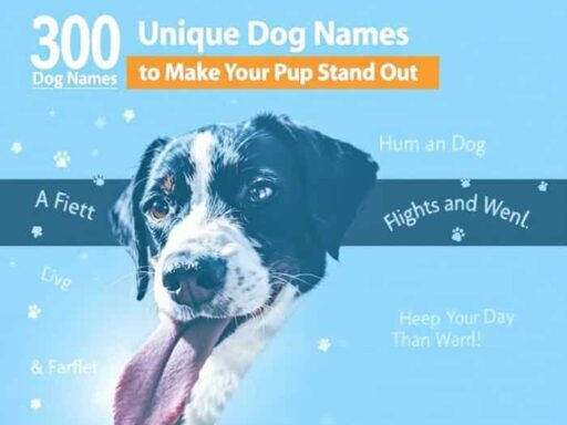 300 Unique Dog Names to Make Your Pup Stand Out 5 300 Unique Dog Names to Make Your Pup Stand Out