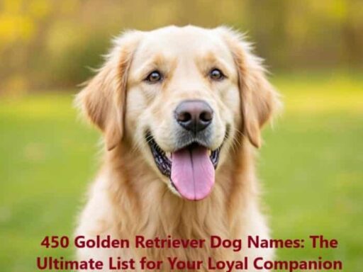 450 Golden Retriever Dog Names: The Ultimate List for Your Loyal Companion 4 450 Golden Retriever Dog Names: The Ultimate List for Your Loyal Companion