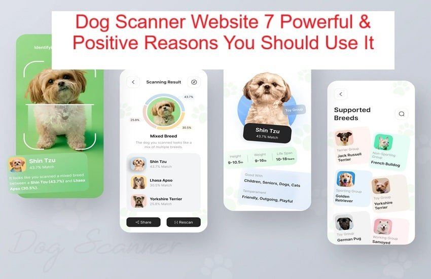 Dog photo being assessed with a breed-identification tool